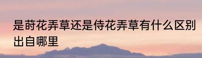 是莳花弄草还是侍花弄草有什么区别出自哪里