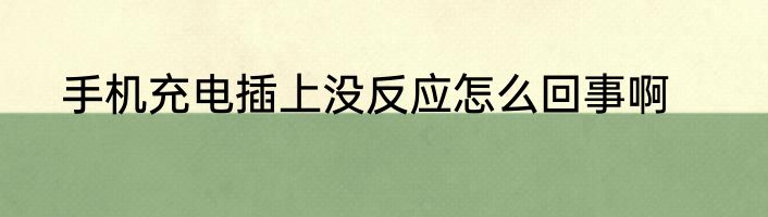 手机充电插上没反应怎么回事啊