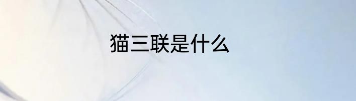猫三联是什么