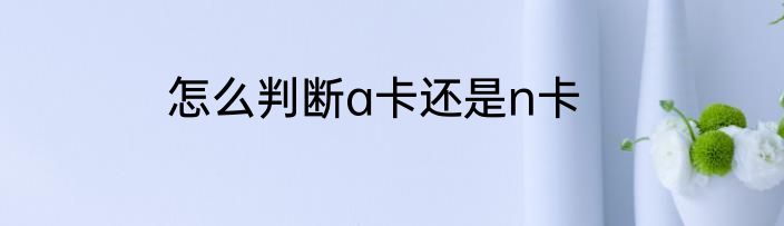 怎么判断a卡还是n卡
