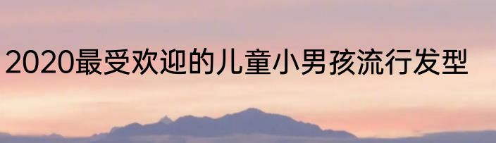 2020最受欢迎的儿童小男孩流行发型