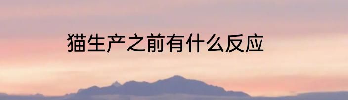 猫生产之前有什么反应