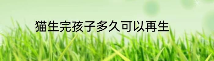 猫生完孩子多久可以再生