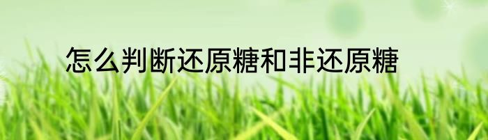 怎么判断还原糖和非还原糖