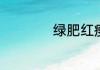 绿肥红瘦是什么时候