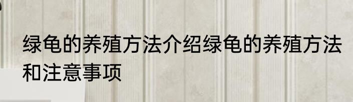 绿龟的养殖方法介绍绿龟的养殖方法和注意事项