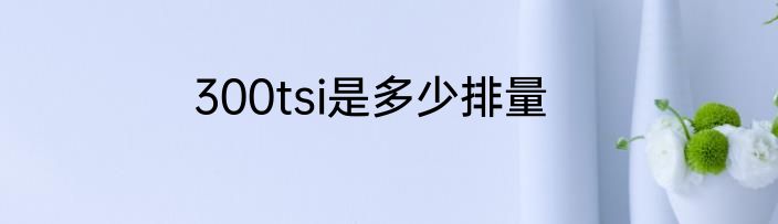 300tsi是多少排量