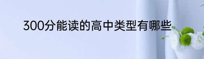 300分能读的高中类型有哪些