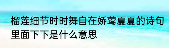 榴莲细节时时舞自在娇莺夏夏的诗句里面下下是什么意思