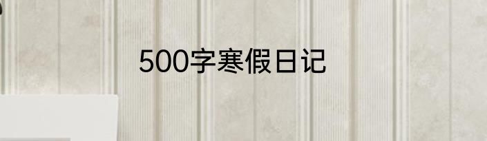 500字寒假日记