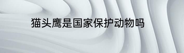 猫头鹰是国家保护动物吗