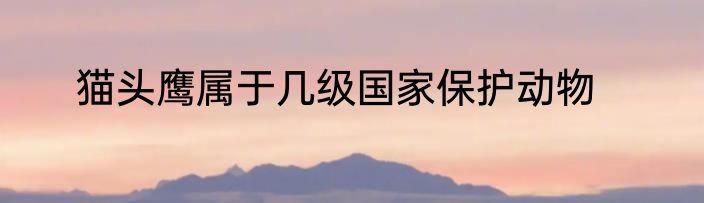 猫头鹰属于几级国家保护动物