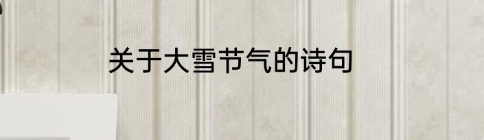 关于大雪节气的诗句