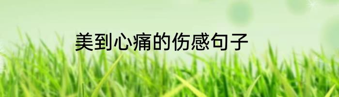 美到心痛的伤感句子
