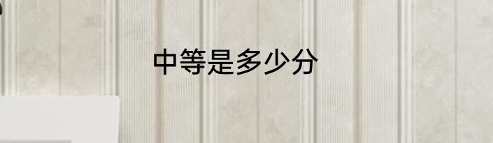 中等是多少分