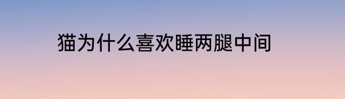 猫为什么喜欢睡两腿中间