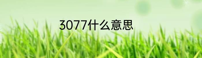 3077什么意思
