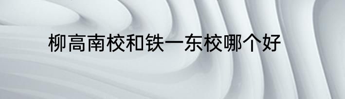 柳高南校和铁一东校哪个好