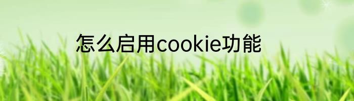 怎么启用cookie功能