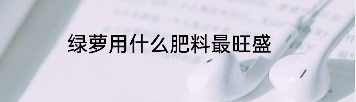 绿萝用什么肥料最旺盛