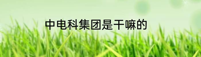 中电科集团是干嘛的