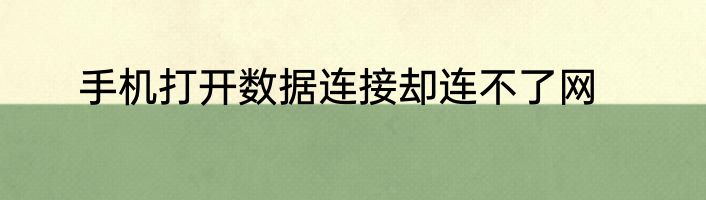 手机打开数据连接却连不了网