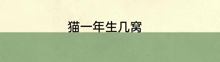 猫一年生几窝