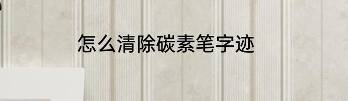 怎么清除碳素笔字迹