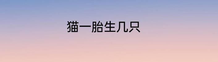 猫一胎生几只