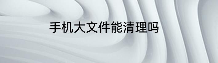 手机大文件能清理吗