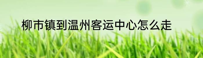 柳市镇到温州客运中心怎么走