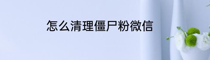怎么清理僵尸粉微信