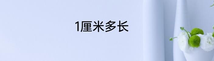 1厘米多长