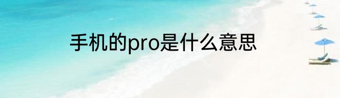 手机的pro是什么意思