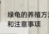 绿龟的养殖方法介绍绿龟的养殖方法和注意事项
