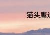 猫头鹰进宅暗示什么