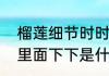 榴莲细节时时舞自在娇莺夏夏的诗句里面下下是什么意思