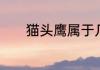 猫头鹰属于几级国家保护动物
