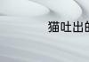 猫吐出的毛球什么样