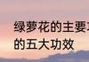 绿萝花的主要功效有哪些揭秘绿萝花的五大功效