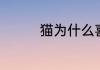 猫为什么喜欢睡两腿中间