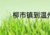 柳市镇到温州客运中心怎么走