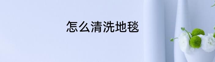 怎么清洗地毯