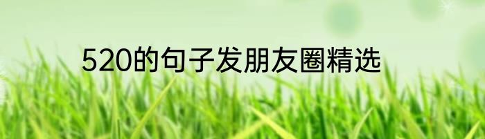 520的句子发朋友圈精选