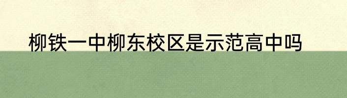 柳铁一中柳东校区是示范高中吗