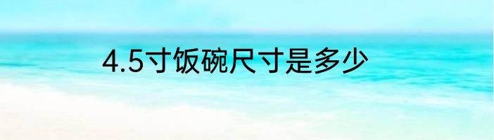 4.5寸饭碗尺寸是多少