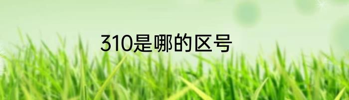 310是哪的区号