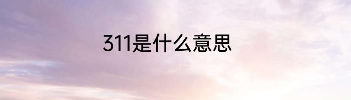 311是什么意思