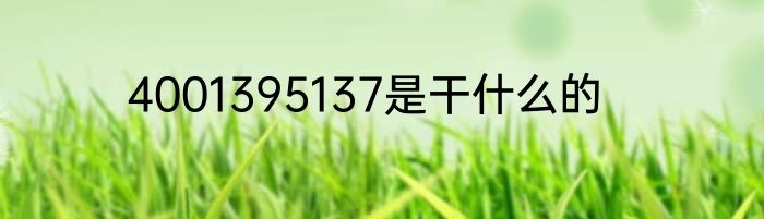 4001395137是干什么的