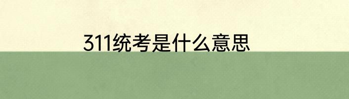311统考是什么意思